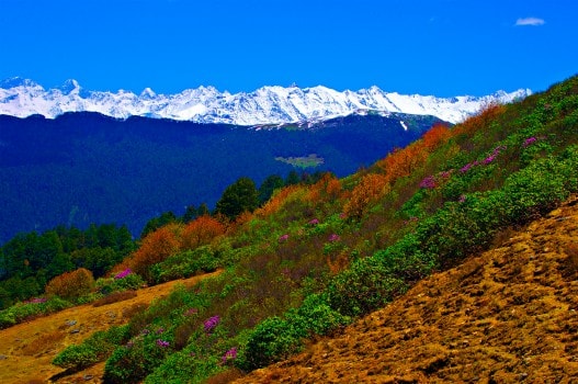 Vaishno Devi Tour